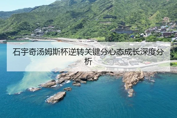 shi-yu-qi-tang-mu-si-bei-ni-zhuan-guan-jian-fen-xin-tai-cheng-zhang-shen-du-fen-xi-2-699.jpg