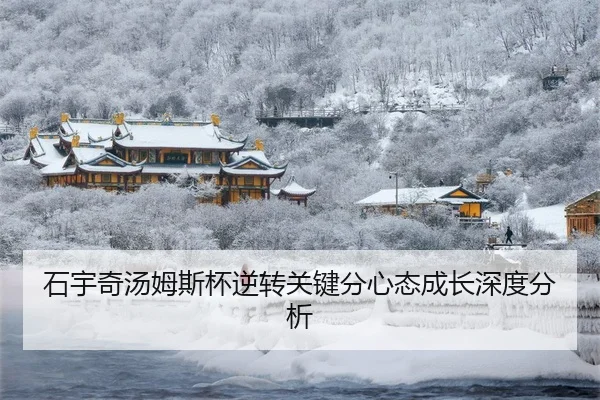 shi-yu-qi-tang-mu-si-bei-ni-zhuan-guan-jian-fen-xin-tai-cheng-zhang-shen-du-fen-xi-3-922.jpg