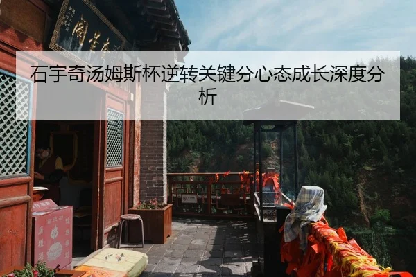 石宇奇汤姆斯杯逆转关键分心态成长深度分析